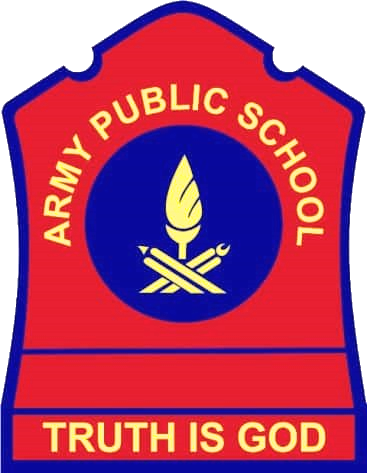 Army Public School